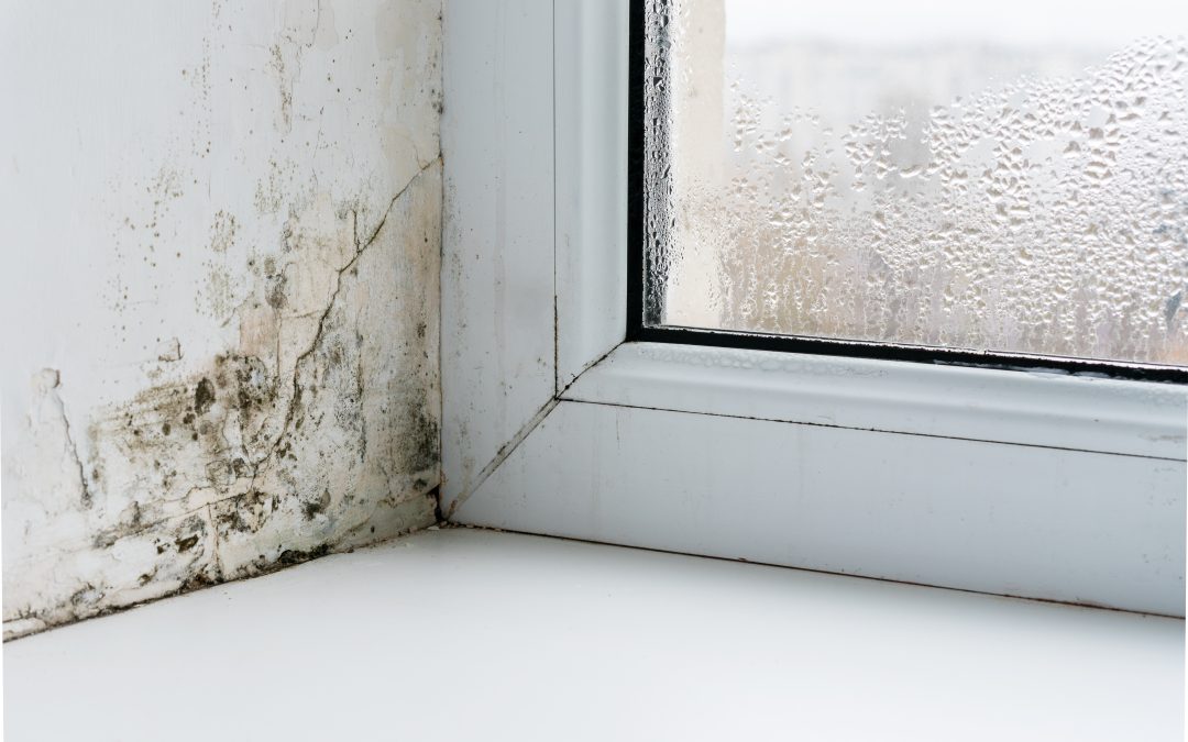 VERVUILDE MUREN GEÏSOLEERD MET CLASSIDUR UNIVERSAL XTREM EPOXY PRIMER